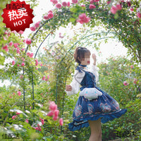 Garden Arch Trellis for Climbing Plants, Metal Rose Archway for Outdoor Vines, Grapes, and Vegetables