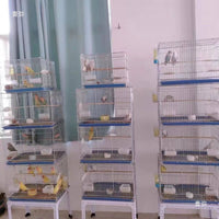 Bird Cage Stand Heavy Duty Metal Rack with Storage Shelf for Pet Birds