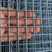 Hot-Dip Galvanized Steel Wire Mesh for Fencing and Enclosures