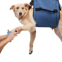 Dog Rear Leg Support Harness for Injury Rehabilitation and Walking Assistance