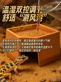 Reptile Ceramic Humidifying Hideaway Cave for Lizards, Geckos, Snakes, and Spiders