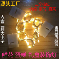 LED Copper Wire String Lights for Floral Arrangements, Cakes, and Gift Boxes - Starry Fairy Lights with 3 Flash Modes