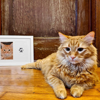 No-Wash Paw Print Kit for Pets, DIY Keepsake Photo Album & Postcard, Pet Memorial Gift