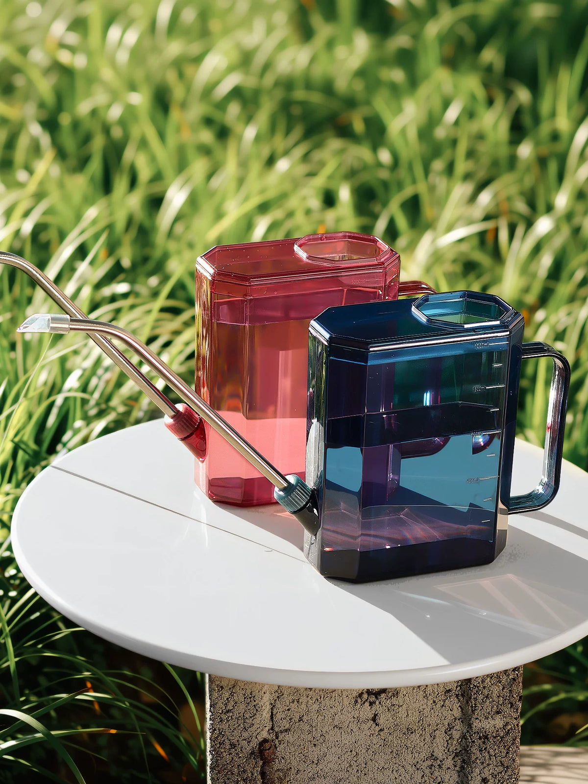 Long Spout Watering Can for Indoor Plants and Garden, Stainless Steel with Transparent Body