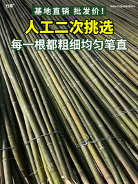 Natural Bamboo Garden Stakes for Plant Support and Trellises