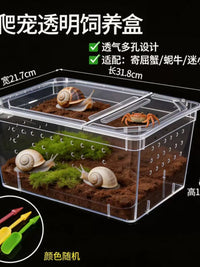 Hermit Crab Terrarium with Accessories - Transparent, Ventilated Habitat for Small Reptiles and Snails