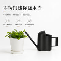 Stainless Steel Long Spout Watering Can for Indoor Plants, 300ML Mini Garden Watering Pot