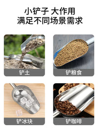Stainless Steel Potting Scoop for Succulents and Potted Plants