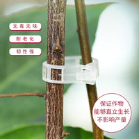 Garden Plant Clips for Vines and Branches - Support and Fixing Clips