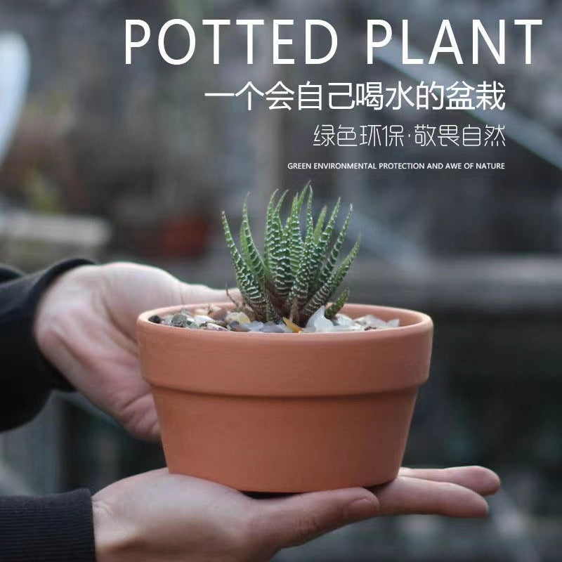 Terracotta Clay Plant Pots Breathable for Succulents and Orchids