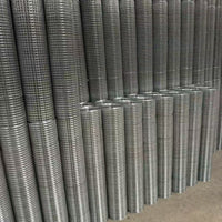 Galvanized Steel Wire Mesh for Plastering and Anti-Cracking, Stainless Steel Welded Mesh for Construction Walls