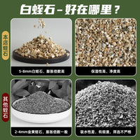 Reptile Egg Incubator Box with Vermiculite for Lizards, Geckos, Snakes, and Turtles