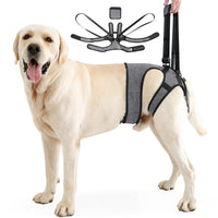 Dog Lift Harness for Injured & Senior Dogs, Adjustable Support Sling with Handle for Rehabilitation