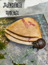 Natural Turtle Basking Platform with Anti-Slip Steps and Hiding Cave for Aquarium Decor