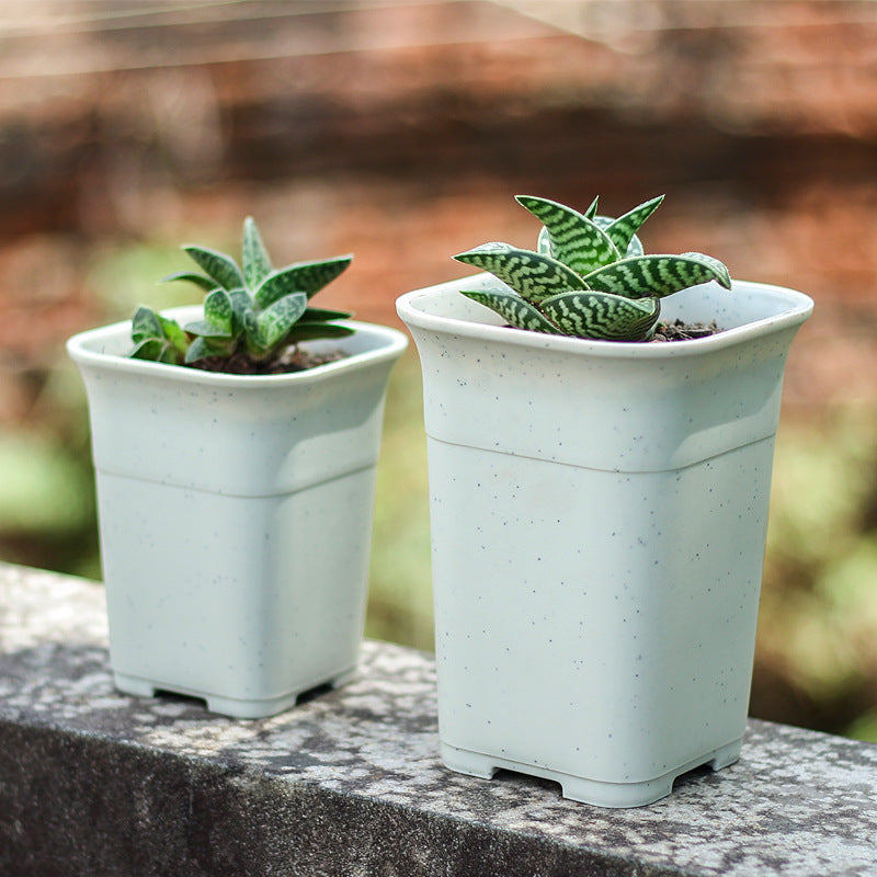 Thickened Square Universal Succulent Planter Pot with Drainage Holes