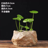 Ceramic Hydroponic Planter Bowl for Aquatic Plants and Small Bonsai