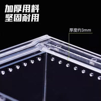 Acrylic Transparent Reptile Breeding Box for Lizards, Frogs, Spiders, and Small Snakes