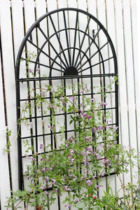 British Style Iron Art Window Frame Trellis for Climbing Plants, Wall-Mounted/Freestanding Balcony Garden Decor