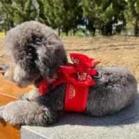 Pet Wedding Dress Harness and Leash Set for Small Dogs and Cats, Chinese Style Tang Suit