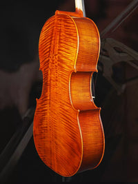 Violin C101 Cello Professional Performance Grade Italian Spruce for Adults and Beginners