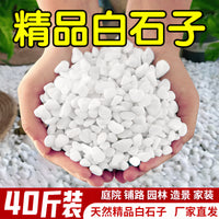 40lb White Pebble Stones for Landscaping and Garden Decoration