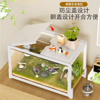 Mini Aquarium Fish Tank with Filter and Oxygenation for Desktop or Turtle Habitat