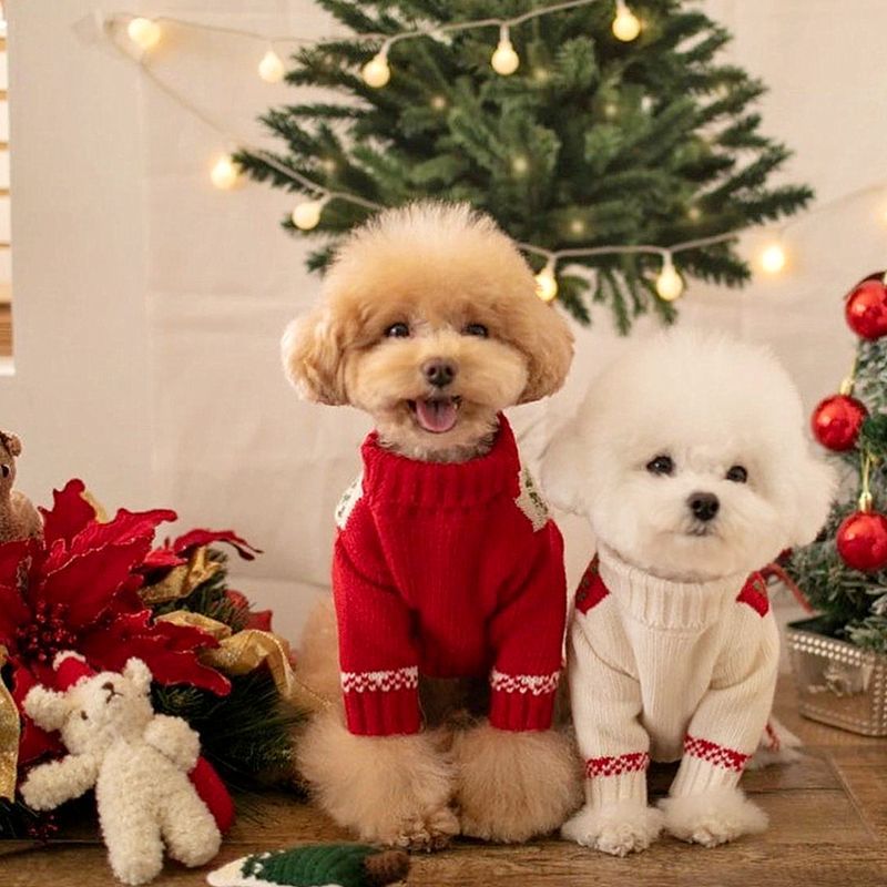 Pet New Year Knitted Sweater for Small Dogs and Cats