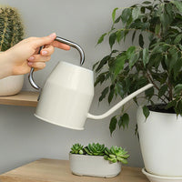 Long Spout Watering Can for Indoor Outdoor Plants, Small Vintage Iron Art Watering Pot for Succulents and Potted Plants