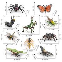 Realistic Tropical Rainforest Insect Animal Model Figurines