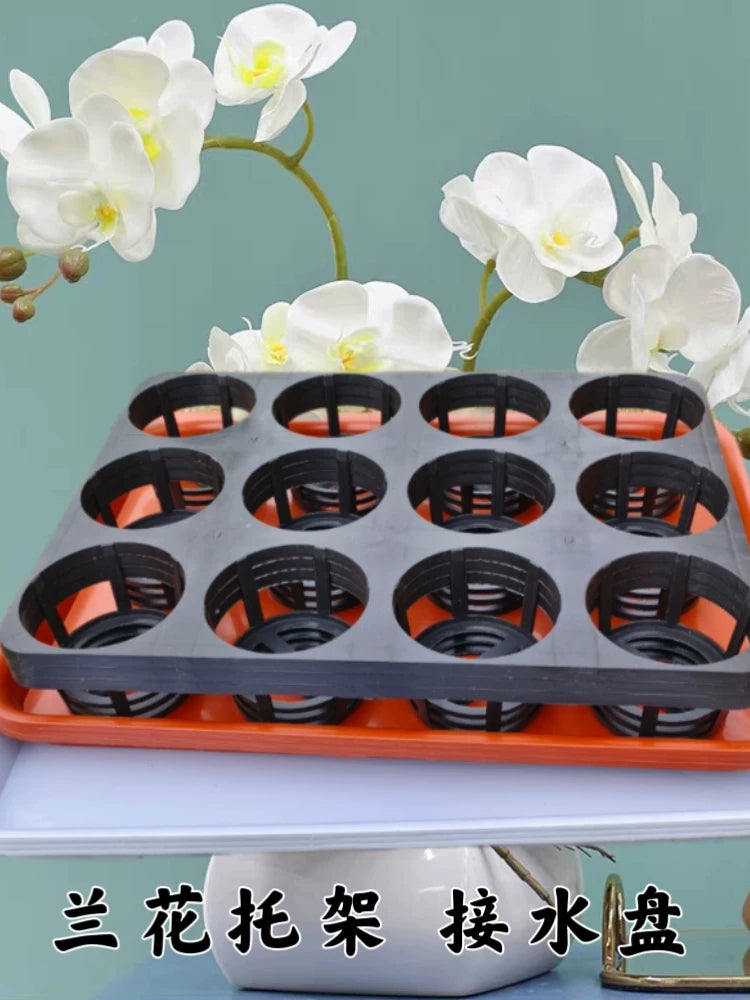 Orchid Seedling Tray with Support Rack - Durable, Breathable, Sun-Resistant