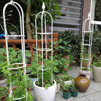 Garden Climbing Plant Trellis for Roses and Clematis, European Style Iron Flower Support Stake