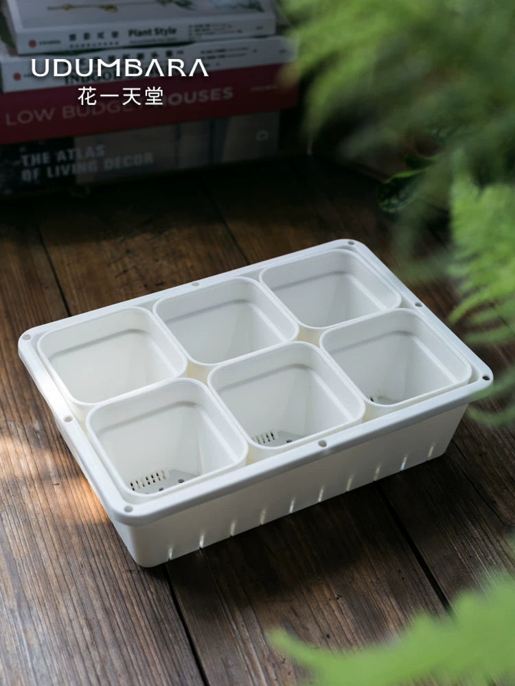 Thickened Square Plastic Succulent Planter with Tray or Lid for Seedling Cultivation