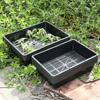 Thickened Rectangular Plastic Seedling Tray for Succulents and Rice Sprouts, Storage and Cultivation Box