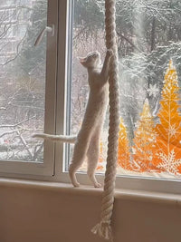Wall-Mounted Cat Scratching Rope Climbing Post