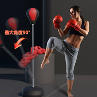 Freestanding Reflex Boxing Bag with Gloves for Kids and Adults