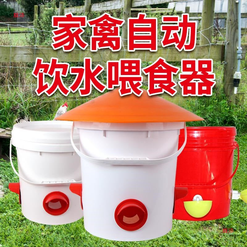 Automatic Rainproof Poultry Feeder for Chickens, Ducks, Geese - Hands-Free Feeding Trough