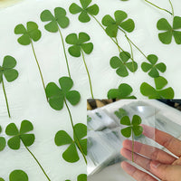 Lucky Four-Leaf Clover Transparent Card Bookmark