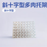 Rectangular Succulent Planter Tray with Cross Grids, Seedling Starter Tray for Small Square Pots