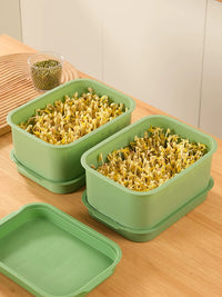 3-Pack Seed Sprouting Trays for Hydroponic Growing, Food-Grade Bean Sprout Germination Kit