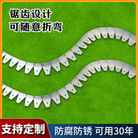 Stainless Steel Garden Edging Strip for Lawn and Landscape