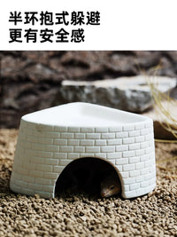 Reptile Hideout and Humidifying Cave for Lizards, Spiders, and Snakes