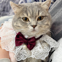 Pet Lace Ruffle Bib Collar for Cats and Small Dogs, Princess Style Scarf for Photoshoots, All Seasons