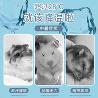 Hamster Cooling Pad for Summer Heat Relief - Pet House Ice Mat for Golden Bears and Rabbits