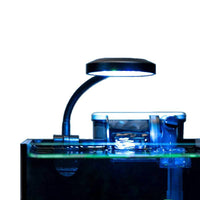 Mini Ultra-White Glass Fish Tank for Desktop and Office