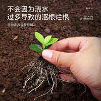 Automatic Drip Irrigation System for Potted Plants and Balcony Gardens