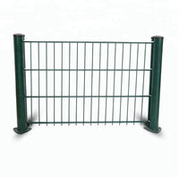 Double Wire Welded Mesh Fence Panel for Parks and Outdoor Enclosures