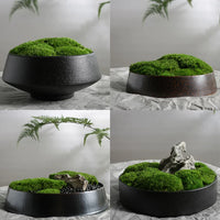 Preserved Moss Bonsai Artificial Plant Micro Landscape Ornament for Table Decor