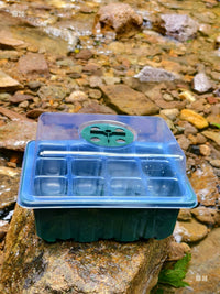 12-Cell Seedling Starter Tray with Dome Lid for Succulents and Cuttings