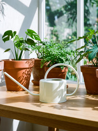 Long Spout Watering Can for Indoor Outdoor Plants, 1L Metal Watering Pot for Potted Flowers and Garden