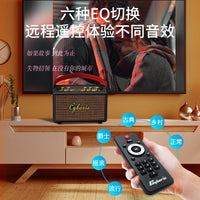 Cyboris Portable Karaoke Wireless Bluetooth Speaker with Microphone, Retro FM Radio for Home and Outdoor Use